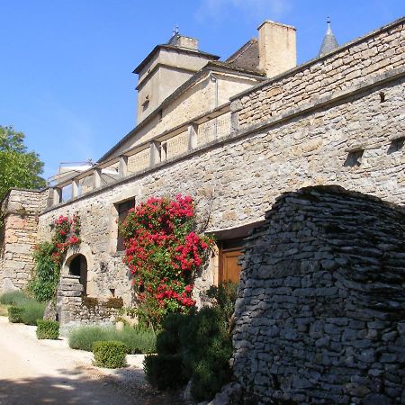 Chateau De Laumiere Promilhanes エクステリア 写真
