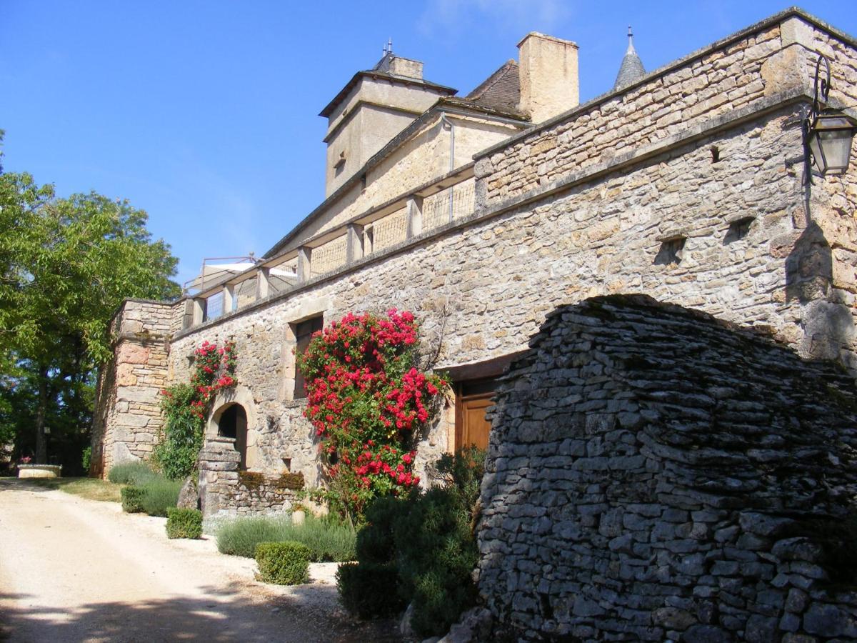 Chateau De Laumiere Promilhanes エクステリア 写真
