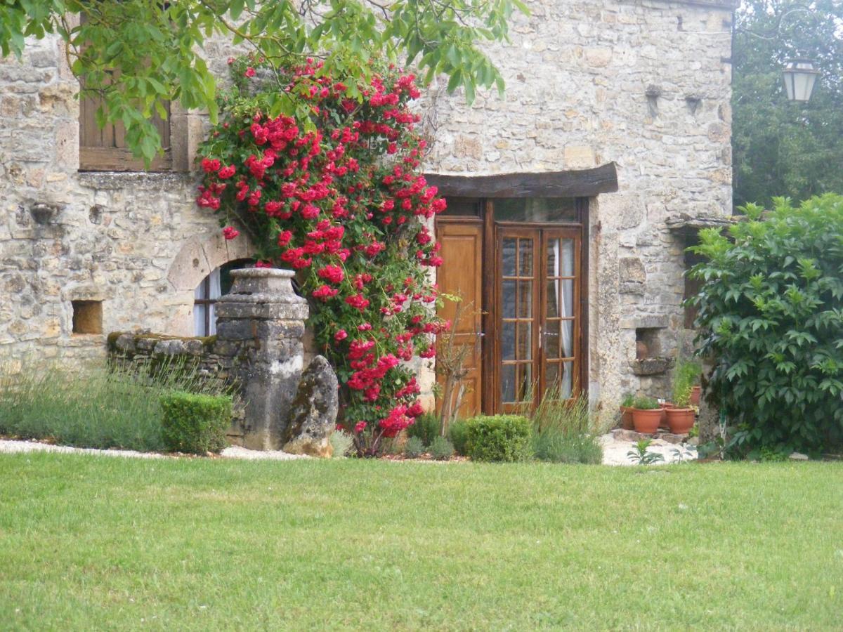 Chateau De Laumiere Promilhanes エクステリア 写真