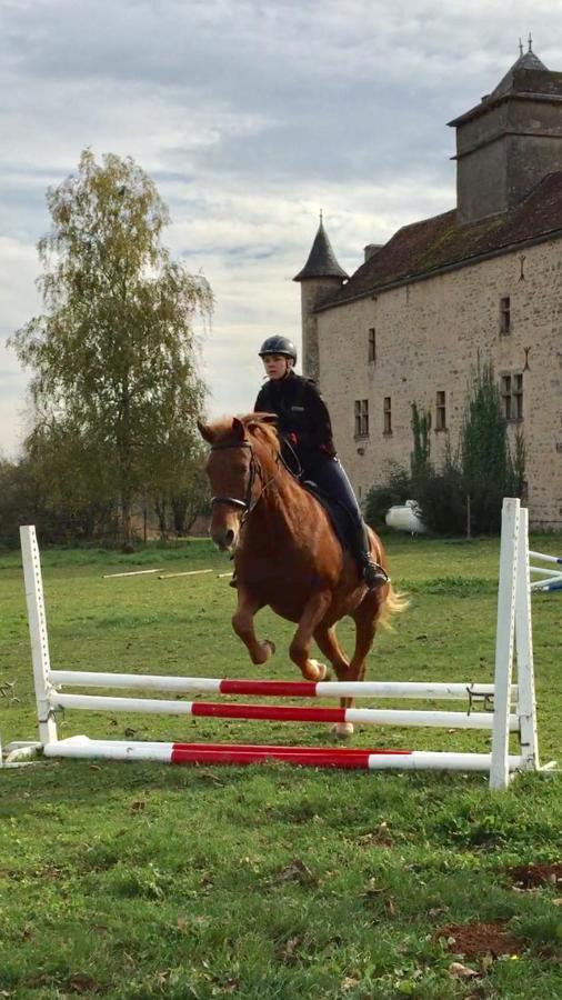 Chateau De Laumiere Promilhanes エクステリア 写真
